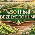 Bayburtlu Üreticiye Yüzde 50 Hibeli Bezelye Tohumu Desteği, Başvurular Başlıyor!
