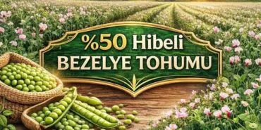 Bayburtlu Üreticiye Yüzde 50 Hibeli Bezelye Tohumu Desteği, Başvurular Başlıyor!