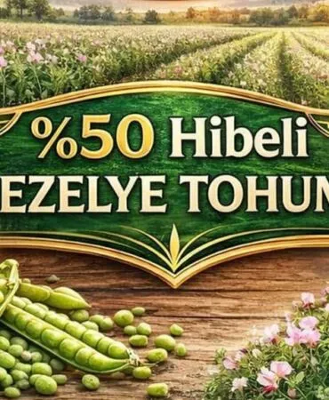 Bayburtlu Üreticiye Yüzde 50 Hibeli Bezelye Tohumu Desteği, Başvurular Başlıyor!
