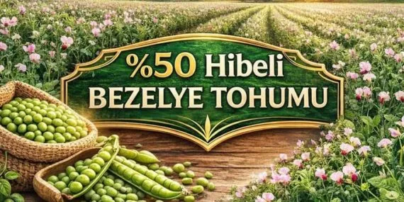 Bayburtlu Üreticiye Yüzde 50 Hibeli Bezelye Tohumu Desteği, Başvurular Başlıyor!