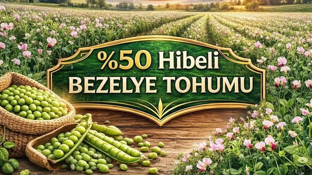 Bayburtlu Üreticiye Yüzde 50 Hibeli Bezelye Tohumu Desteği, Başvurular Başlıyor!
