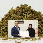 Bayburt Tarhunu Küresel Marka Oluyor: Dijital Dönüşüm Başladı