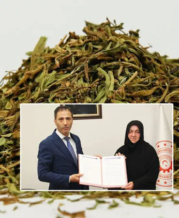 Bayburt Tarhunu Küresel Marka Oluyor: Dijital Dönüşüm Başladı
