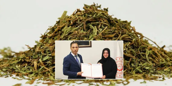 Bayburt Tarhunu Küresel Marka Oluyor: Dijital Dönüşüm Başladı