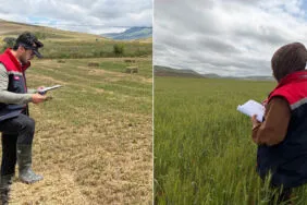 Bayburt'ta Tarımın Geleceği İçin Sahadalar, Ürün Tespit Çalışmaları Başladı