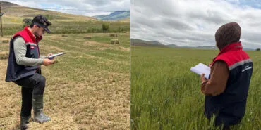 Bayburt'ta Tarımın Geleceği İçin Sahadalar, Ürün Tespit Çalışmaları Başladı