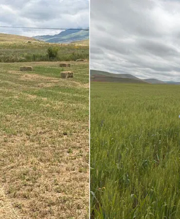 Bayburt'ta Tarımın Geleceği İçin Sahadalar, Ürün Tespit Çalışmaları Başladı