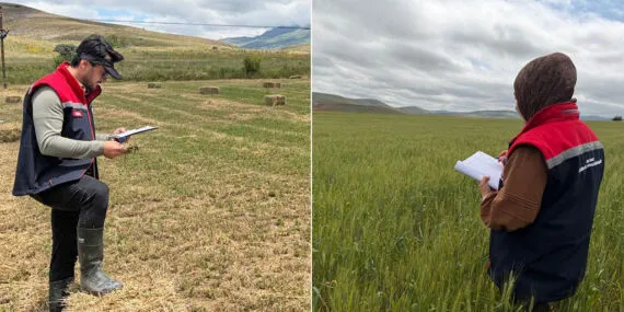 Bayburt’ta Tarımın Geleceği İçin Sahadalar, Ürün Tespit Çalışmaları Başladı