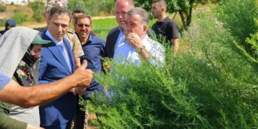 Bayburt Tarhunu Kadın Emeğiyle Dünya Pazarına Açılıyor