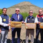 Bayburt Yaylalarından Sofralara, 2026 Bal Sağım Hasadı Başladı