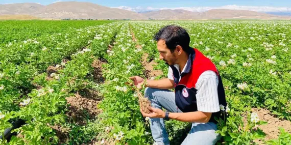Bayburt’ta Patates Tarlaları Mercek Altında, Hastalık Riskine Karşı Erken Önlem