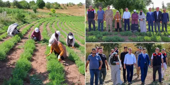 Bayburt’ta Tarhun Hasadı Başladı, Vali Eldivan Üreticilerle Buluştu