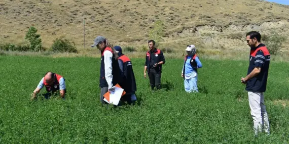 Bayburt’ta Yem Bitkileri ve Üretim Planlaması Tespiti Devam Ediyor