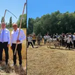 Tırpan Biçip Düven Sürdüler, Bayburt'ta Yüzyıllık Hasat Gelenegi Yaşatıldı