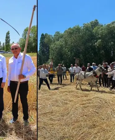 Tırpan Sallayıp Düven Sürdüler, Bayburt'ta Yüzyıllık Hasat Gelenegi Yaşatıldı