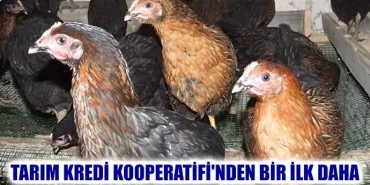 Tarım Kredi Kooperatifi'nden Bir İlk Daha