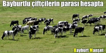 Bayburtlu çiftçilerin parası hesapta