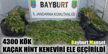 4300 Kök Kaçak Hint Keneviri Ele Geçirildi