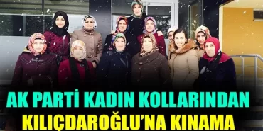 Ak Parti Kadın Kollarından Kılıçdaroğlu'na Kınama