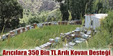 Arıcılara 350 Bin TL Arılı Kovan Desteği