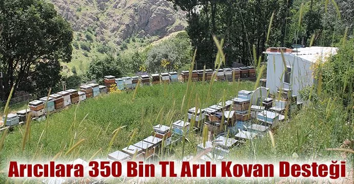 Arıcılara 350 Bin TL Arılı Kovan Desteği