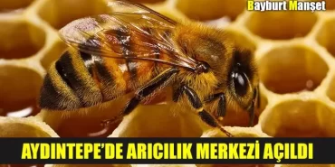 Aydıntepe’de arıcılık merkezi açıldı