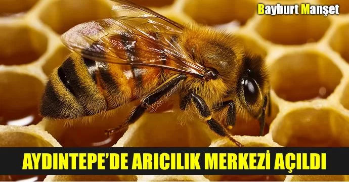 Aydıntepe’de arıcılık merkezi açıldı