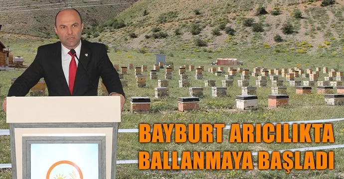 Bayburt Arıcılıkta Ballanmaya Başladı