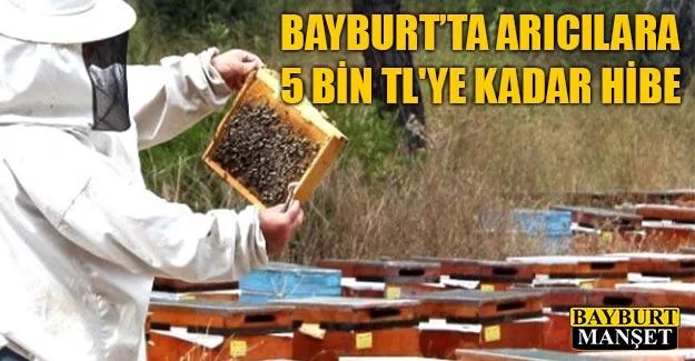 Bayburt’ta Arıcılara 5 bin TL'ye kadar hibe