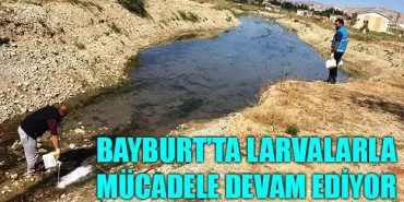 Bayburt’ta Larvalarla Mücadele Devam Ediyor