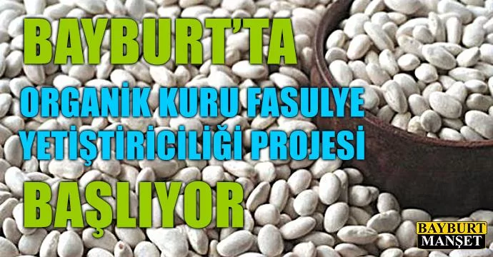 Bayburt’ta organik kuru fasulye yetiştiriciliği projesi