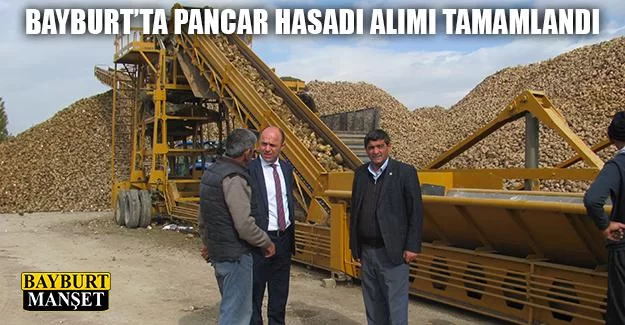 Bayburt’ta Pancar Hasadı Alımı Tamamlandı