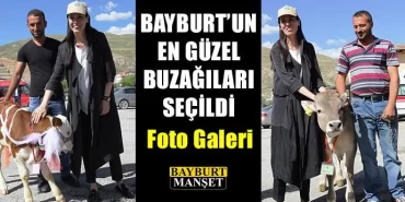 Bayburt'un En Güzel Buzağıları Seçildi