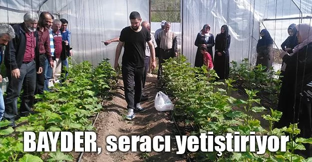 BAYDER, seracı yetiştiriyor