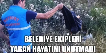 Belediye Ekipleri Yaban Hayatını Unutmadı