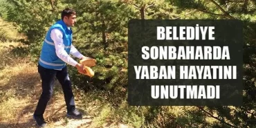 Belediye Sonbaharda Yaban Hayatını Unutmadı