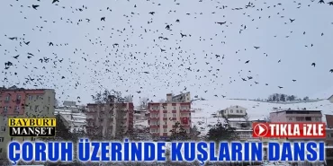 Çoruh Üzerinde Kuşların Dansı