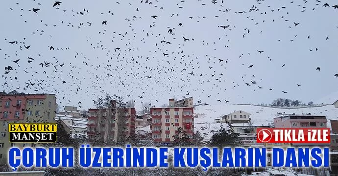 Çoruh Üzerinde Kuşların Dansı