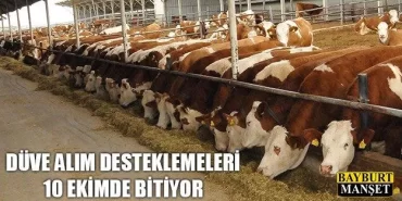 Düve Alım Desteklemeleri 10 Ekimde Bitiyor