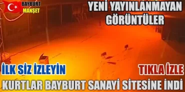 Kurtlar Bayburt Sanayi Sitesine İndi