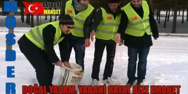 Müsder Bayburt’ta doğaya yiyecek bıraktı