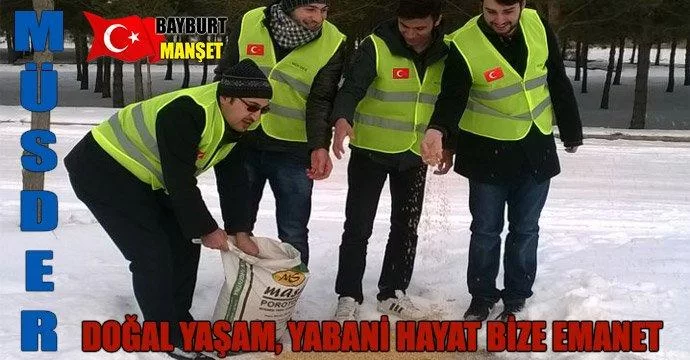 Müsder Bayburt’ta doğaya yiyecek bıraktı