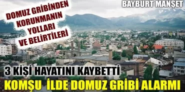 Komşu ilde domuz gribi alarmı