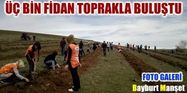 Üç Bin Fidan Toprakla Buluştu