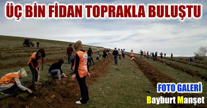 Üç Bin Fidan Toprakla Buluştu