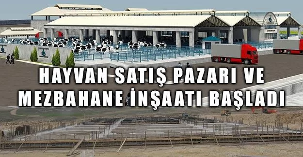 Hayvan satış pazarı ve mezbahane inşaatı başladı