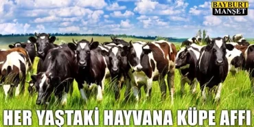 Her Yaştaki Hayvana Küpe Affı