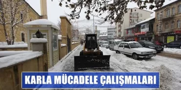 Karla Mücadele Çalışmaları