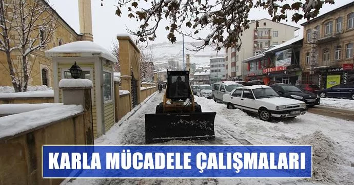 Karla Mücadele Çalışmaları