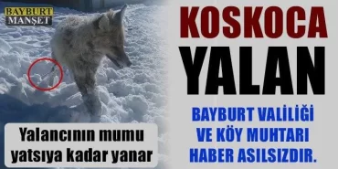 Koskoca donmuş tilki yalanı